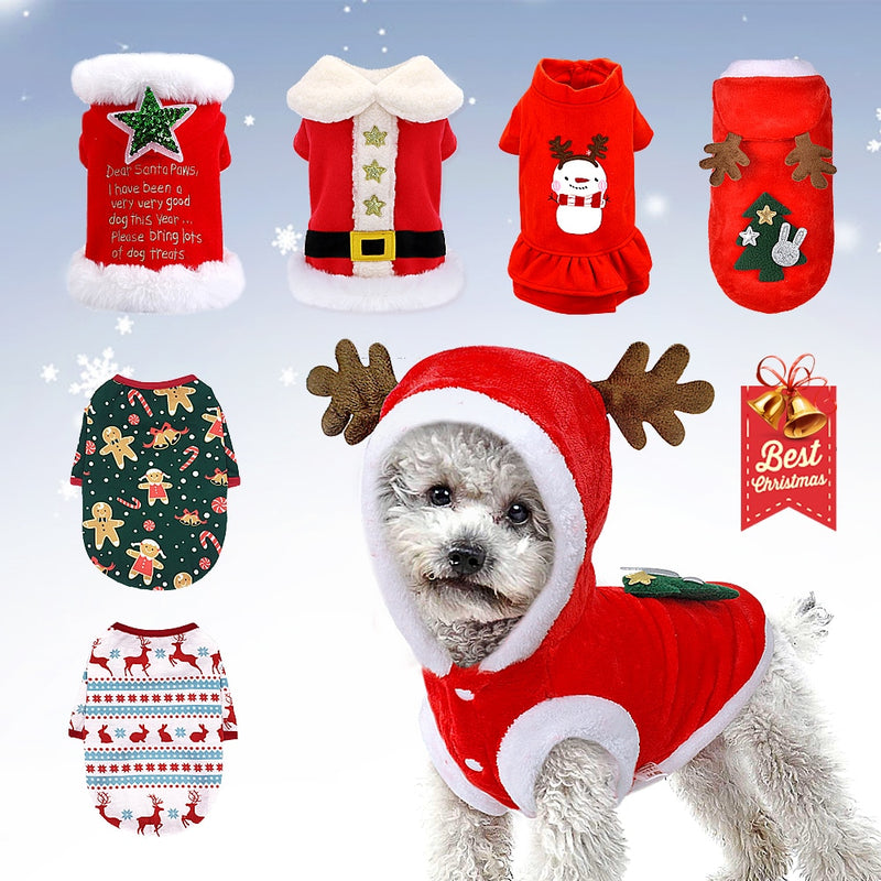 Vánoční obleček pro psa